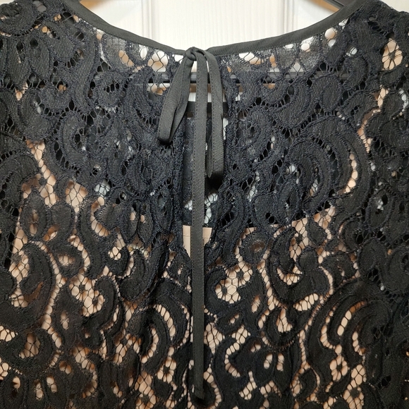 AnnTaylor Loft Size 6 Elegant Dress Women New Years Eve Black Lace Nude Underlay - Picture 4 of 9